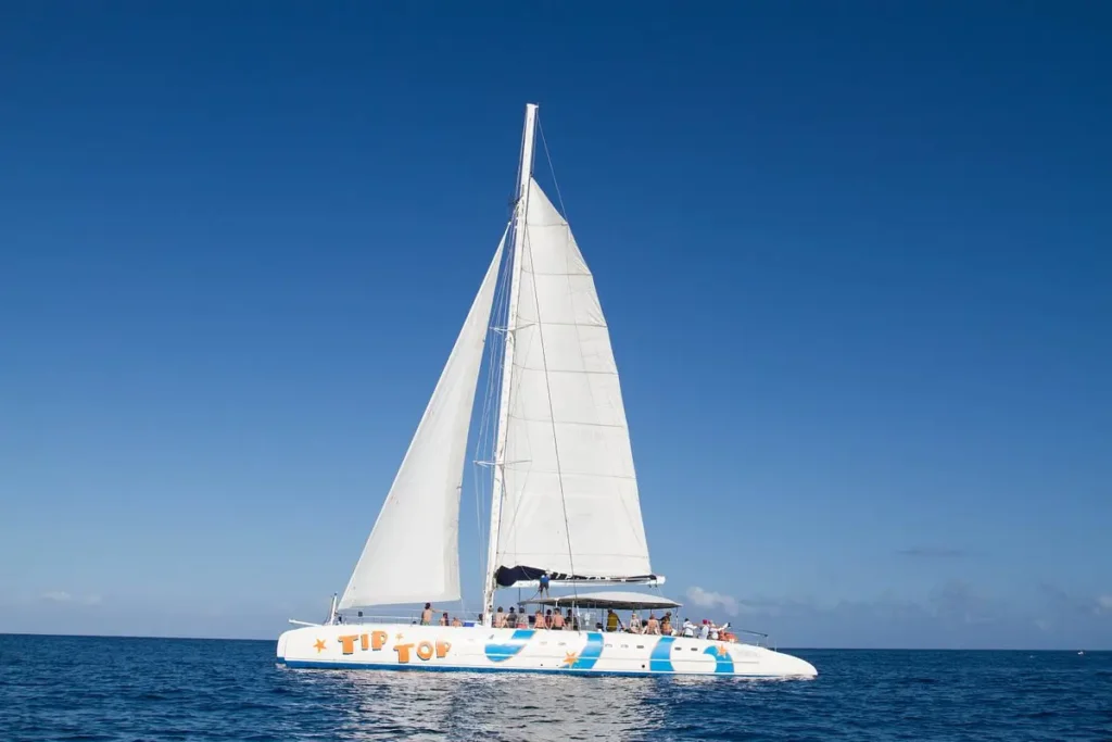 Coastal Catamaran Sailing & Snorkeling Adventure 8