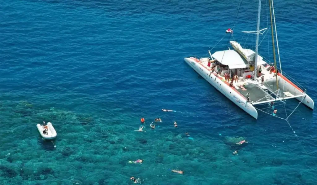 Coastal Catamaran Sailing & Snorkeling Adventure 7