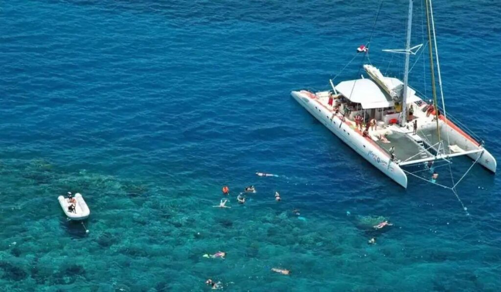 The Tip Top Catamaran Sailing Experience 1