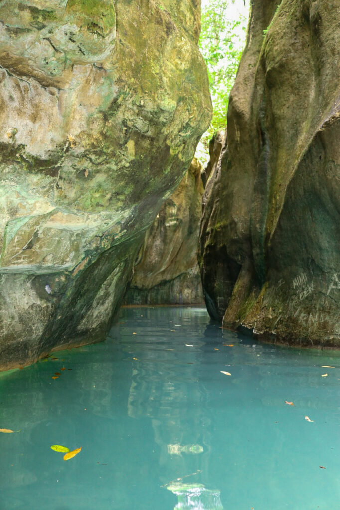 Damajagua Waterfalls and Monkey Sanctuary Adventure 1