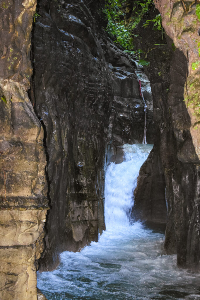 Damajagua Waterfalls and Monkey Sanctuary Adventure 2