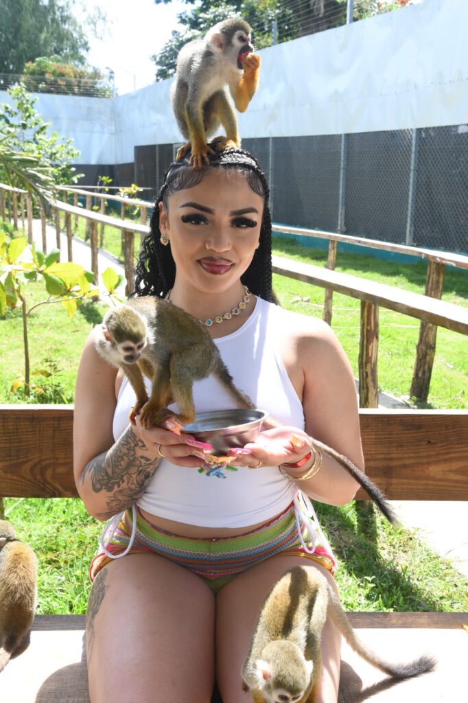 Discover Puerto Plata & Interactive Monkeyland Safari 12