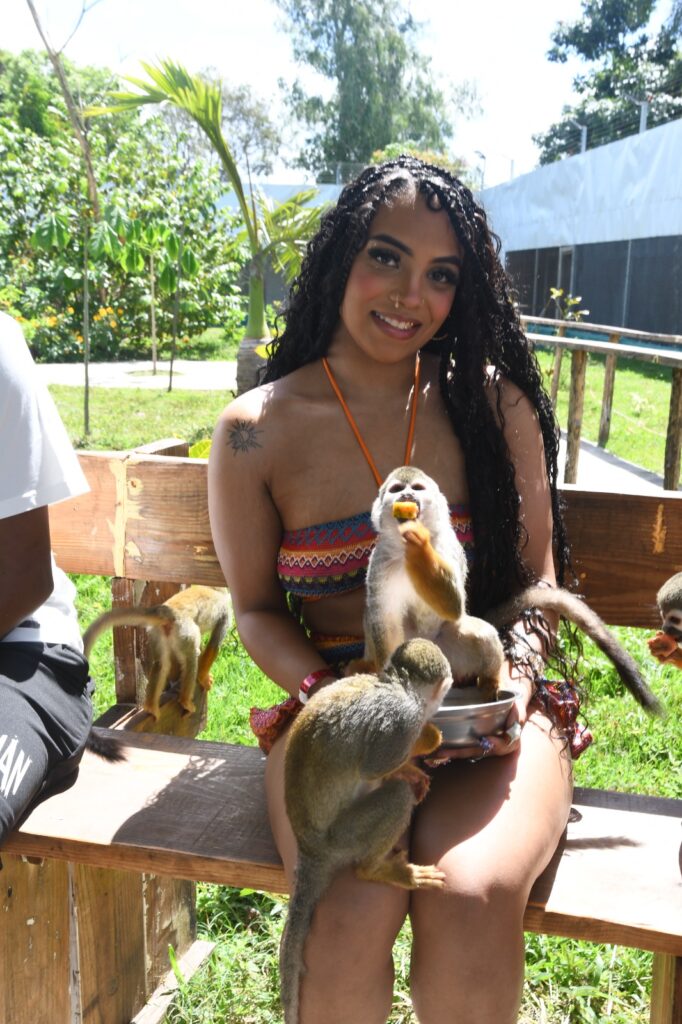 Discover Puerto Plata & Interactive Monkeyland Safari 11