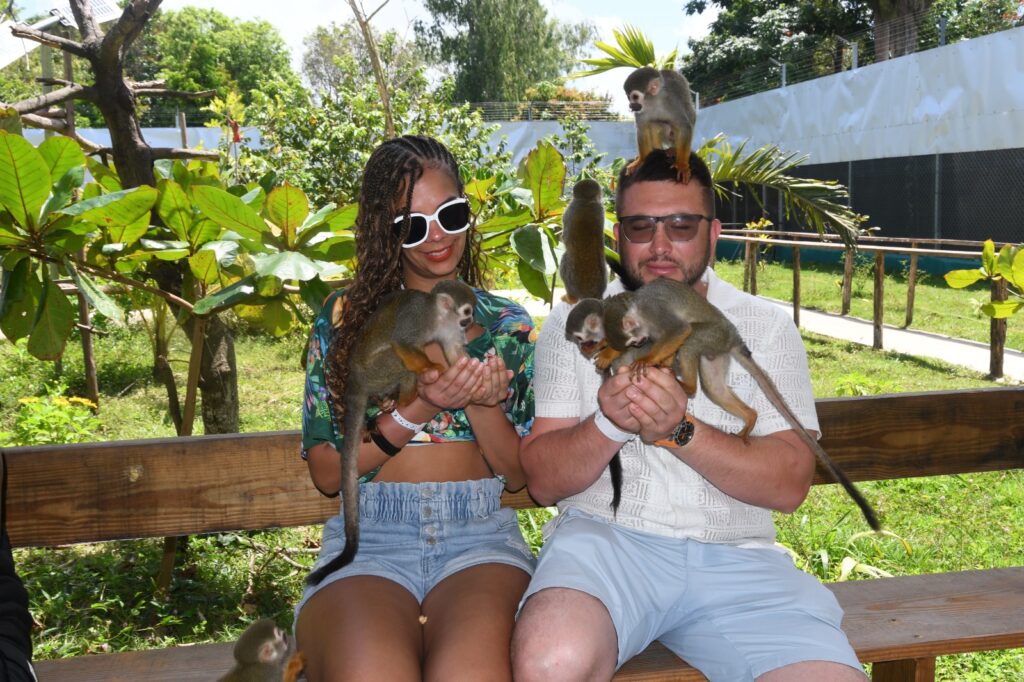 Discover Puerto Plata & Interactive Monkeyland Safari 10