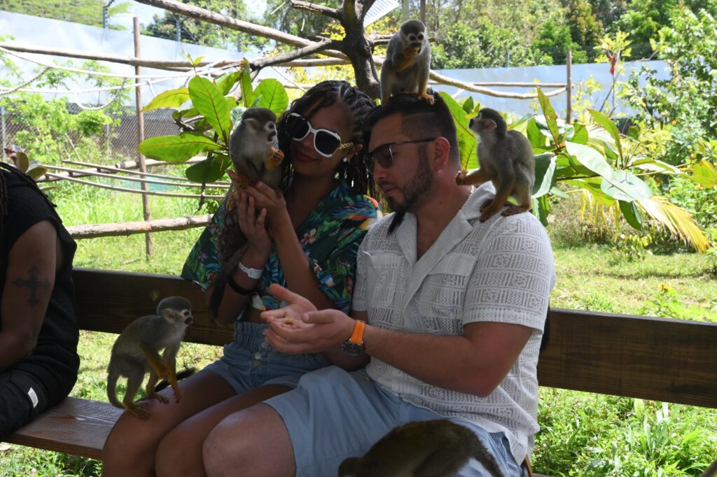 Discover Puerto Plata & Interactive Monkeyland Safari 9