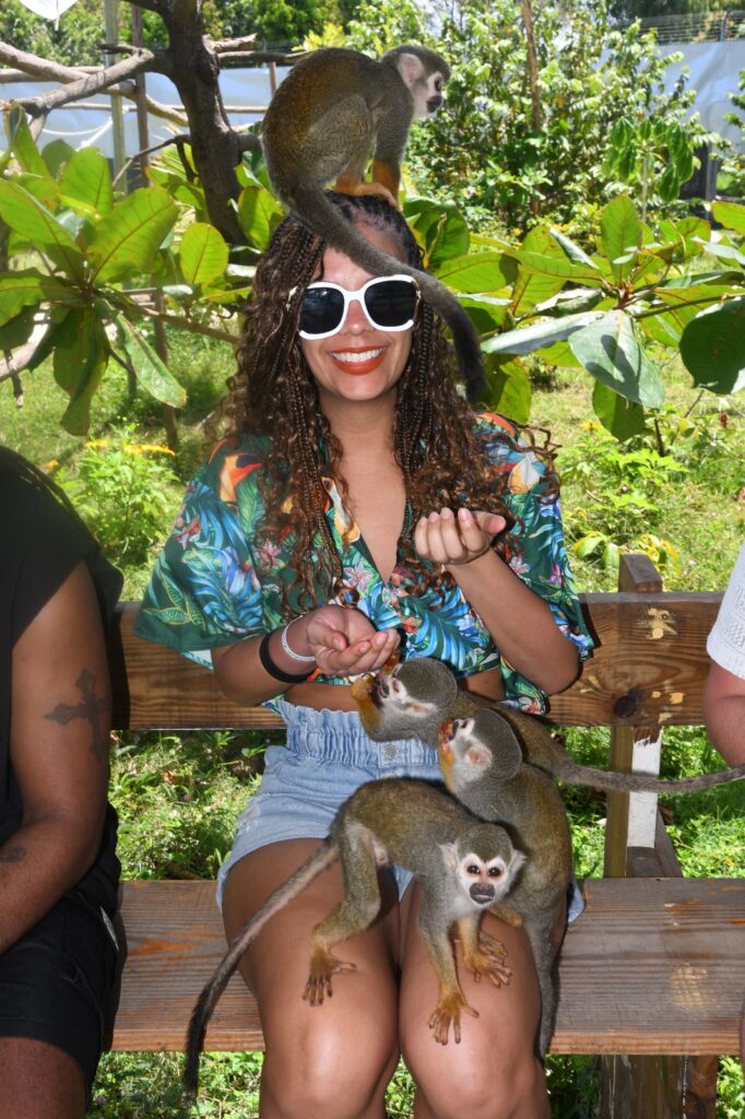 Discover Puerto Plata & Interactive Monkeyland Safari 8