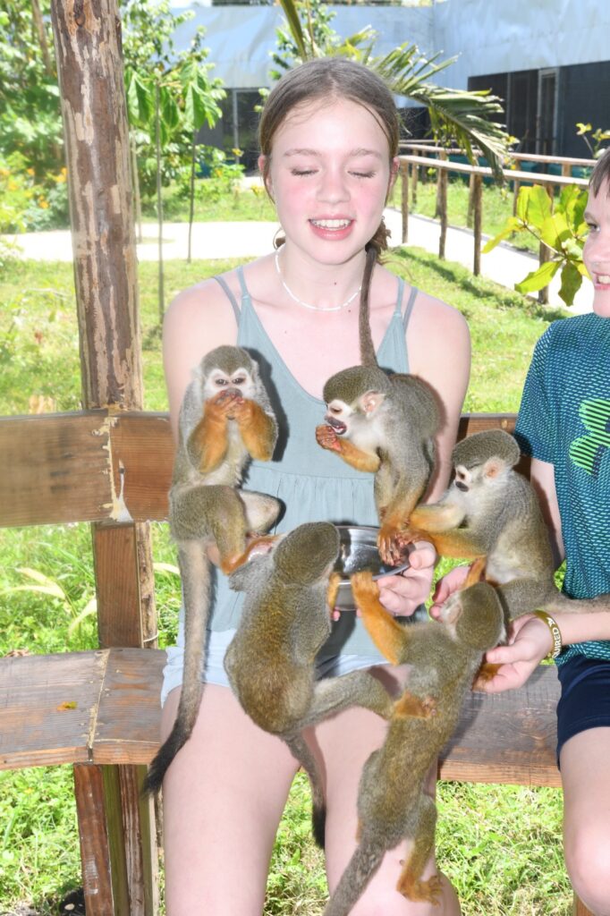 Discover Puerto Plata & Interactive Monkeyland Safari 6