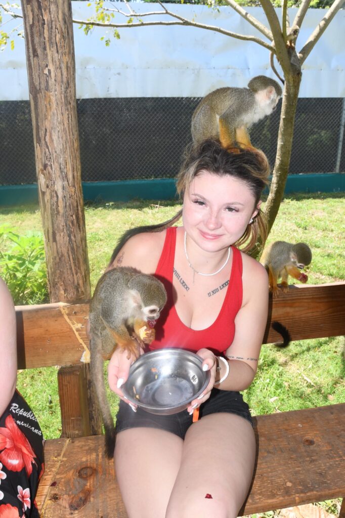 Discover Puerto Plata & Interactive Monkeyland Safari 5