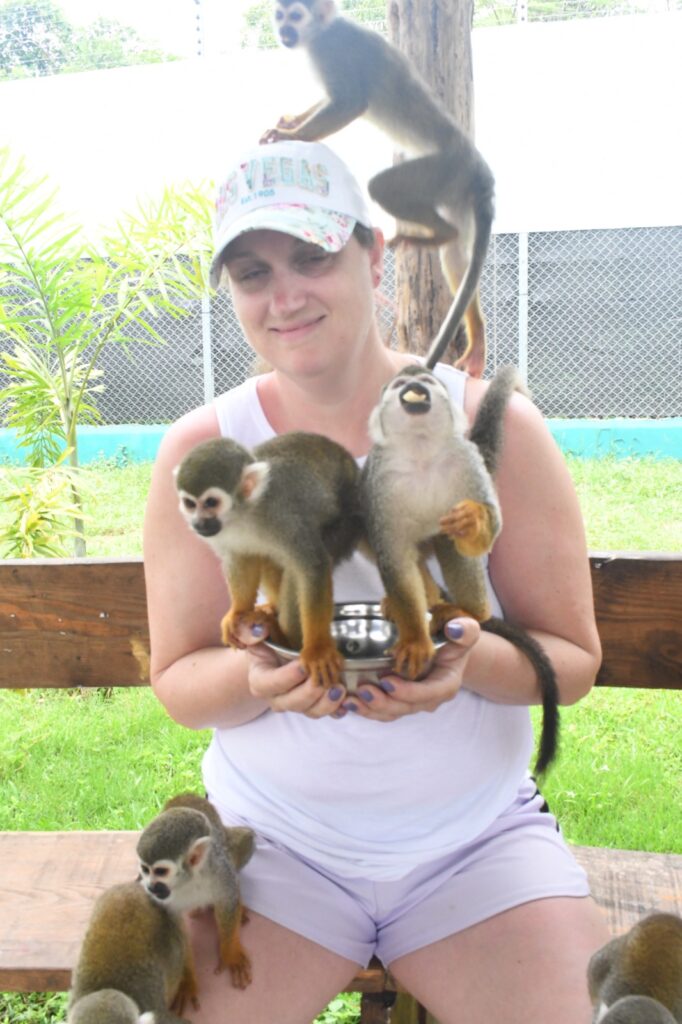 Discover Puerto Plata & Interactive Monkeyland Safari 2