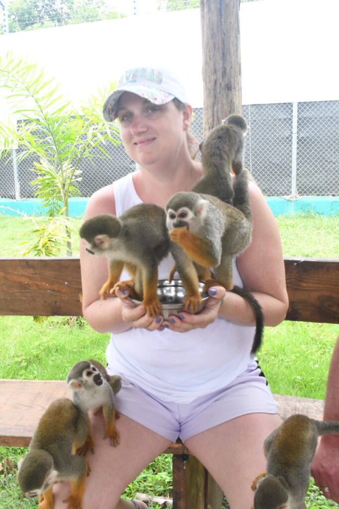 Discover Puerto Plata & Interactive Monkeyland Safari 3