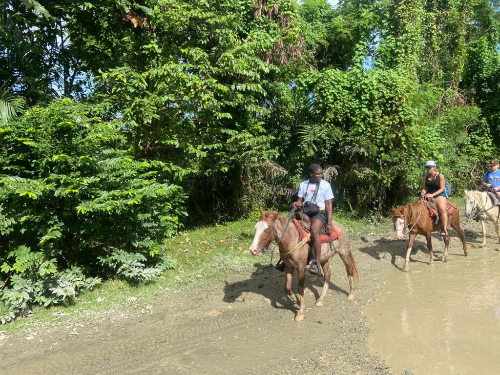 Damajagua Waterfalls and Zipline Adventure 7