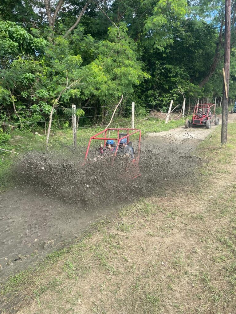 The Waterfalls & Dune Buggy Off-Road Safari 9