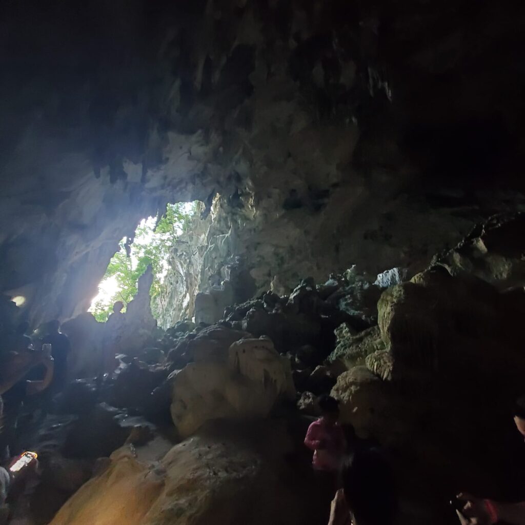 The Ultimate Samaná & Los Haitises National Park Expedition 8