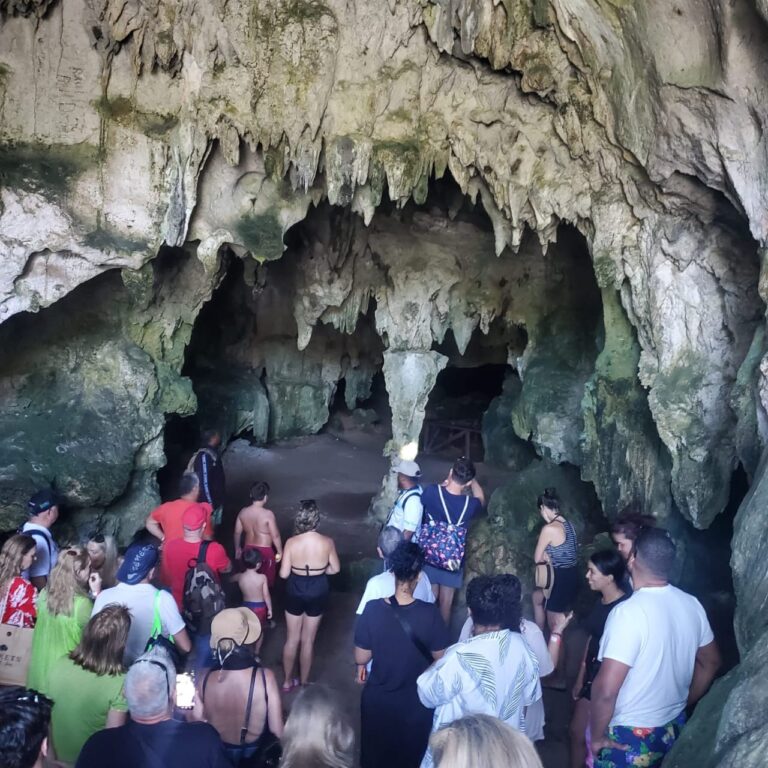 The Ultimate Samaná & Los Haitises National Park Expedition