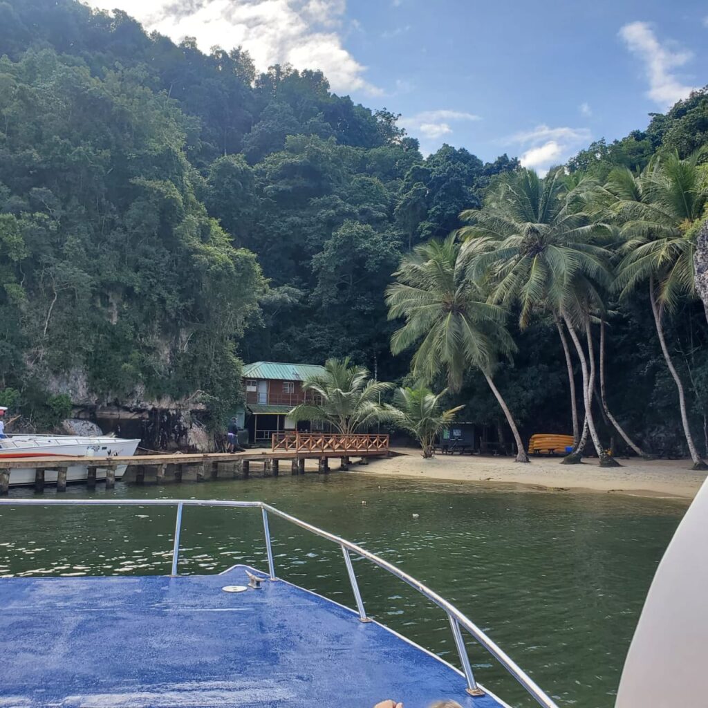 The Ultimate Samaná & Los Haitises National Park Expedition 6