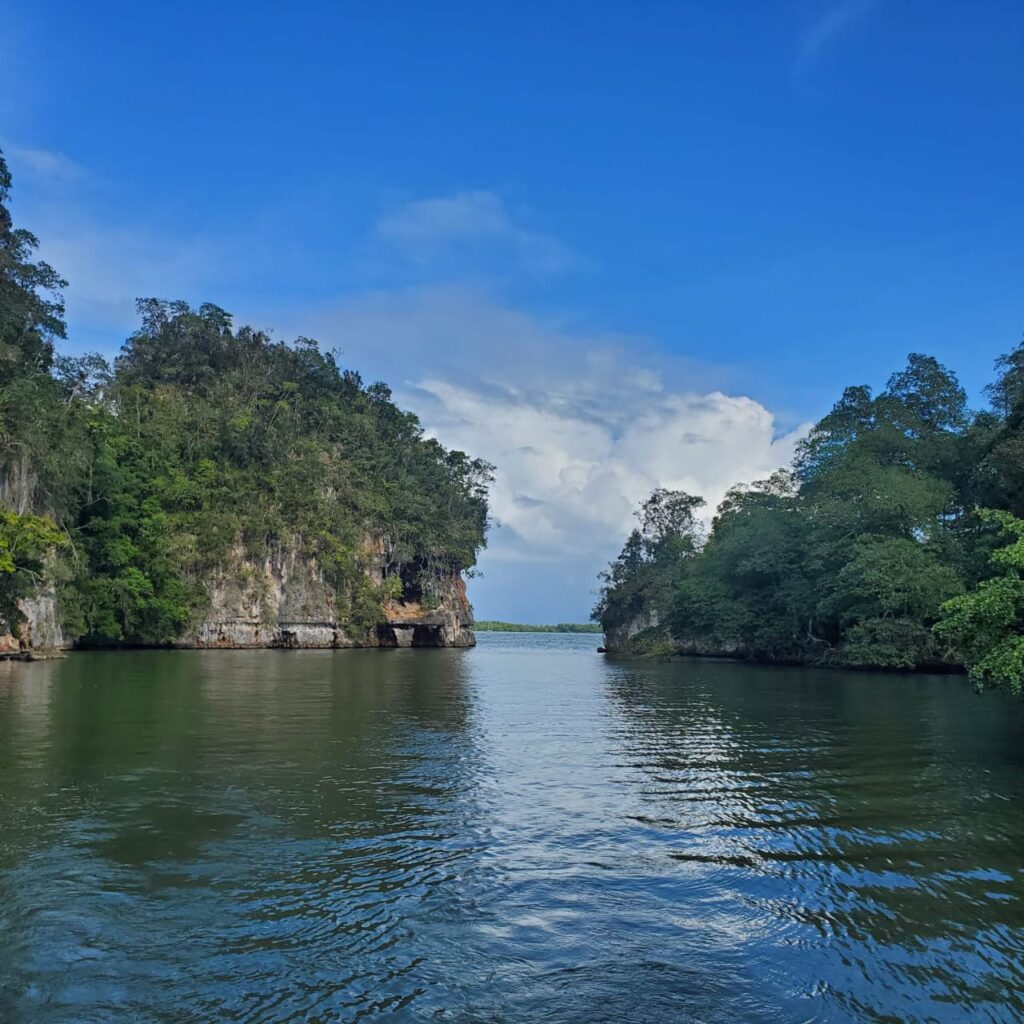 The Ultimate Samaná & Los Haitises National Park Expedition 7