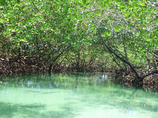 The Cayo Arena Excursion: Paradise Island Speedboat Tour  Schedules 9