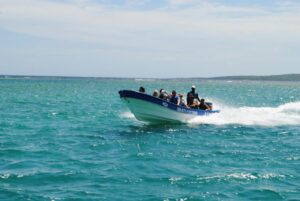 The VIP Paradise Island Experience: Premium Speedboat Tour