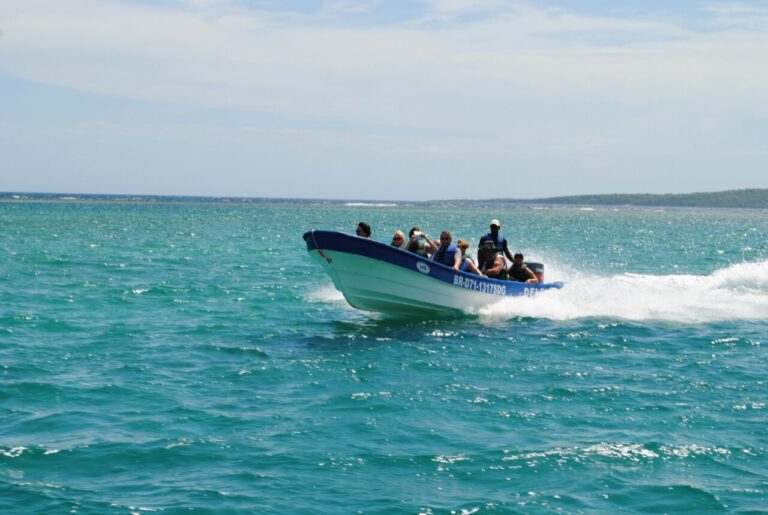 The VIP Paradise Island Experience: Premium Speedboat Tour