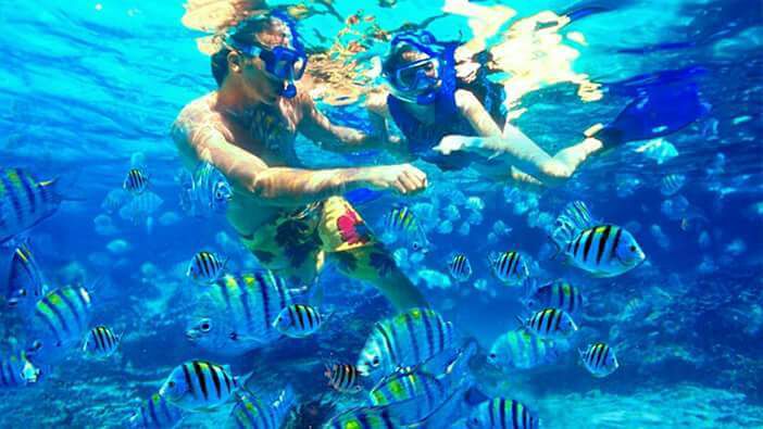 The Cayo Arena Excursion: Paradise Island Speedboat Tour  Schedules 1