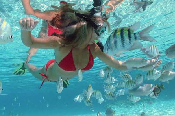 The Cayo Arena Excursion: Paradise Island Speedboat Tour  Schedules 3